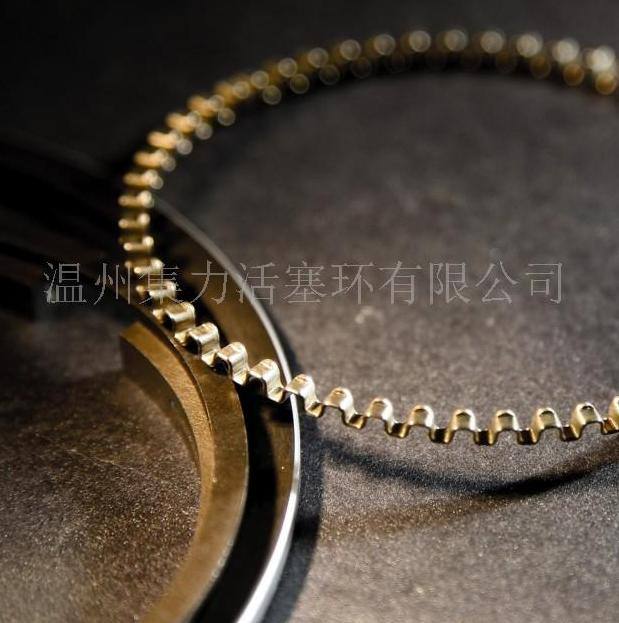 生產(chǎn)活塞環(huán)汽車配件