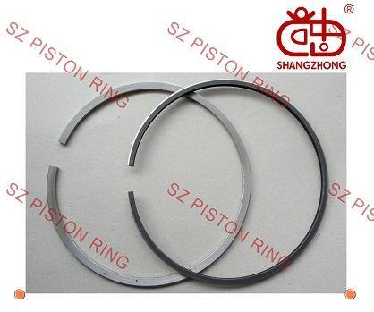 供應福特Econovan (3)車型活塞環