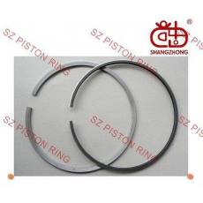 供應福特Econovan (3)車型活塞環(huán)