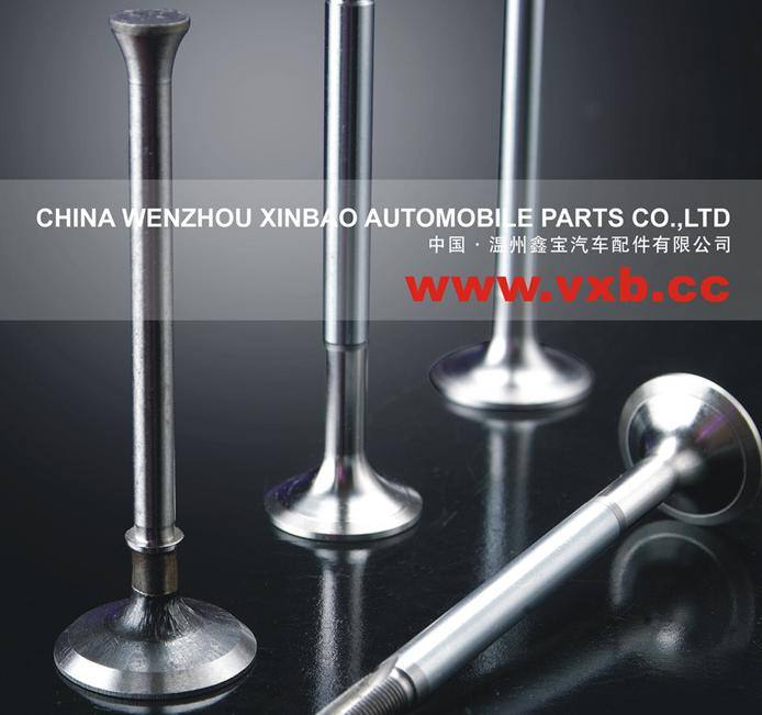 斯堪尼亞氣門.其他歐美日韓系列氣門