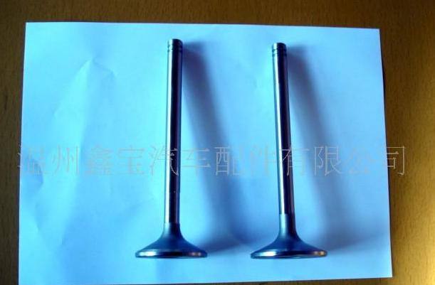 供應(yīng)大眾氣門.其他日韓歐美氣門