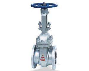 Z41H美標閘閥 鑄造件