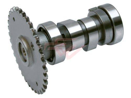 YW-019摩托車凸輪軸