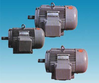 YD系列變極多速三相異步電動機
