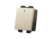 10A250V中板雙控點(diǎn)開關(guān)功能件