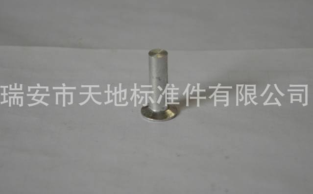 批發(fā)定制GB954各規(guī)格鉚釘