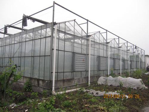 玻璃溫室大棚2