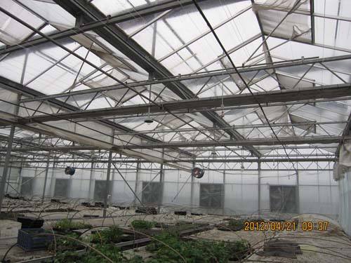 玻璃溫室大棚細節