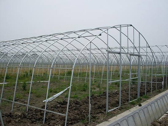 單體溫室大棚