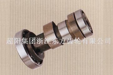 CB-1005 摩托車凸輪軸