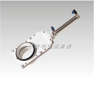 C8008衛生間馬桶水閘