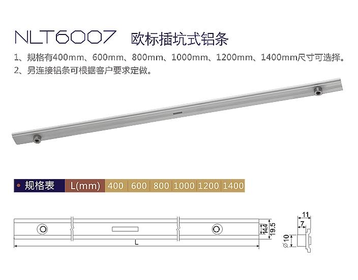 NLT6007 歐標插坑式鋁條