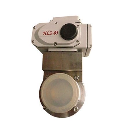 電動衛生級蝶閥P1030380