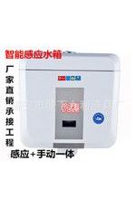 蹲便專用感應(yīng)水箱沖水器、節(jié)水掛墻公共廁所家庭感應(yīng)水箱沖水