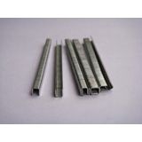 不銹鋼10F系列槍釘