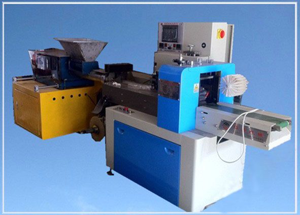 DZB260型全自動彩泥包裝機