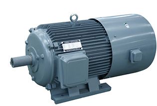 三相變頻電動機