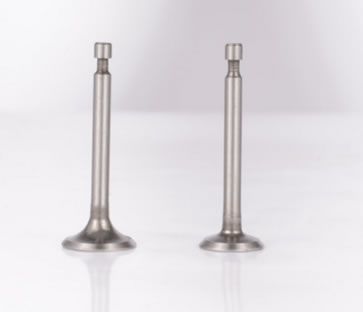 汽油機(jī)154F進(jìn)排氣門