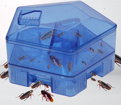 蟑螂誘捕器捕捉器蟑螂屋小強(qiáng)盒子誘餌貼粉滅蟑螂藥蟑螂捕捉器