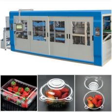 圓形生鮮水果蔬菜托盤 長方形打孔盒子 全自動正負(fù)壓吸塑成型設(shè)備